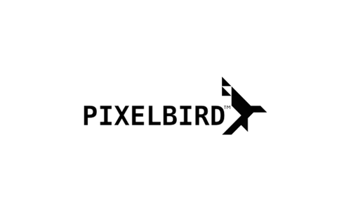 Pixel Bird